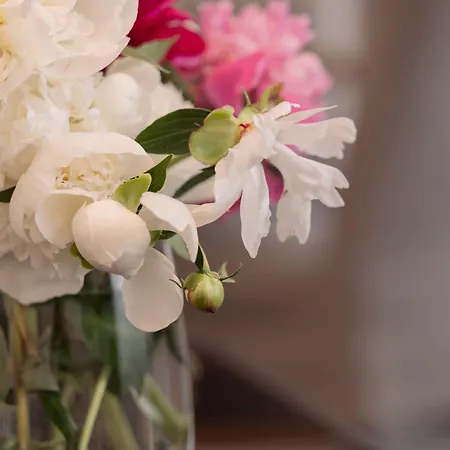 Nr 5 - J26 Luxury Apartment, Jauniela 26 Old - Great View & Location - 2 Bedrooms - 80 M2 Apartmán *