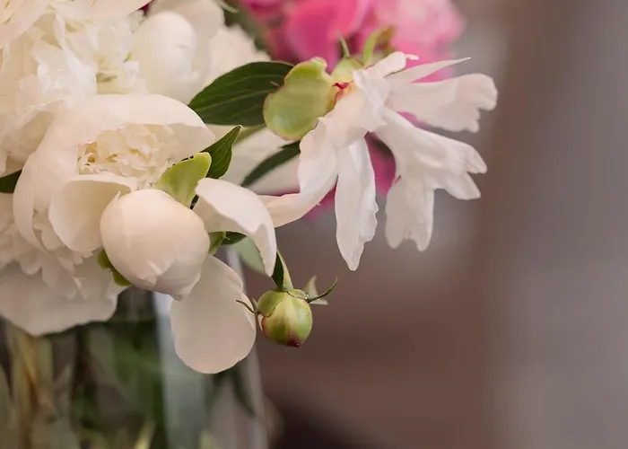 Nr 5 - J26 Luxury Apartment, Jauniela 26 Old - Great View & Location - 2 Bedrooms - 80 M2 Апартаменти *